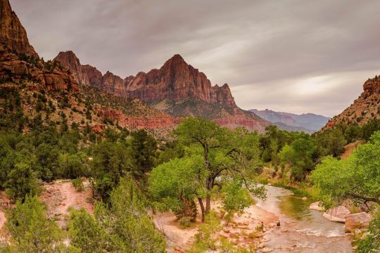 Full-Day Tour to Zion National Park from Las Vegas