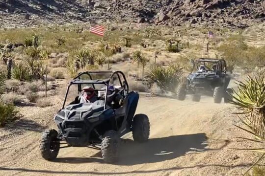 Extreme RZR Tour of Hidden Valley and Primm from Las Vegas