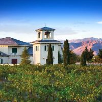 Wine Tasting & Winery Tours