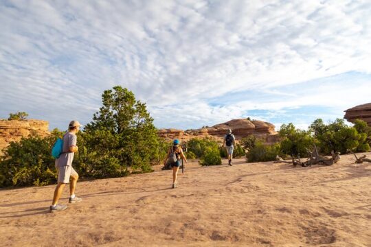 Private Tour: Best of the West 11-Day National Parks Tour with Lodging