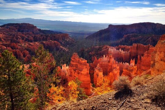 Yellowstone Rocky Mountain and California Desert 11 Day Explorer