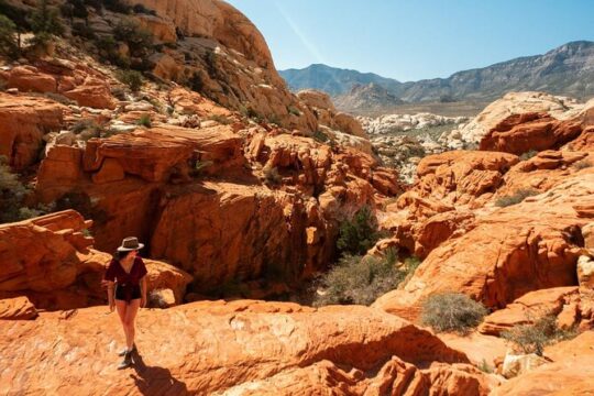 Red Rock Scenic Loop Tour