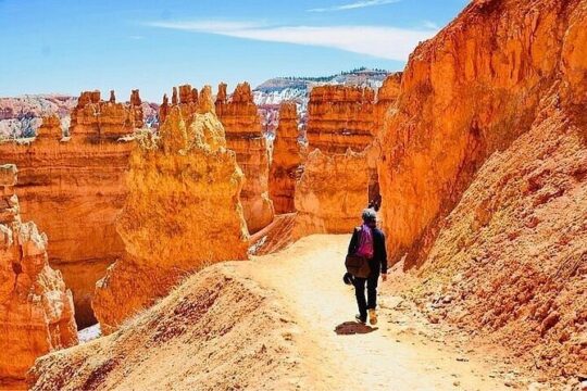 Small Group Day Tour To Explore Bryce Canyon & Zion National Park